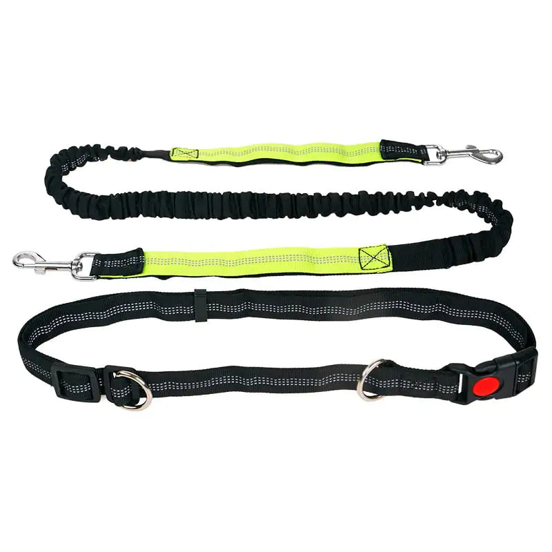 Reflective Elastic Pet Running Traction Belt for Fitness