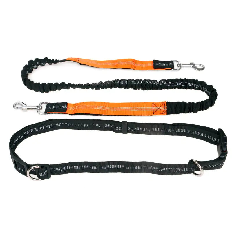 Reflective Elastic Pet Running Traction Belt for Fitness